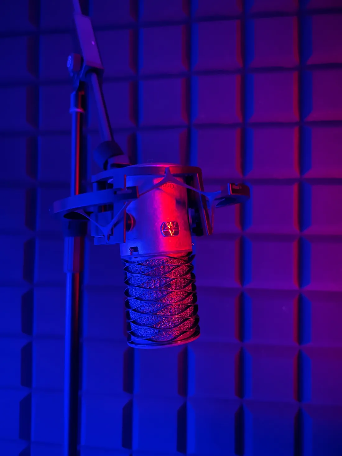 Microphone and headphones inside Blind Vision Studio